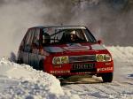 Citroen Visa 1000 Pistes Rally Car 1983 года
